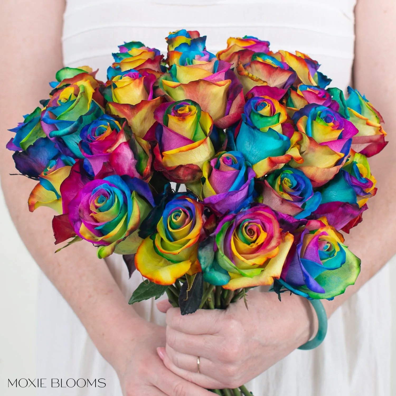 Rainbow Novelty Roses
