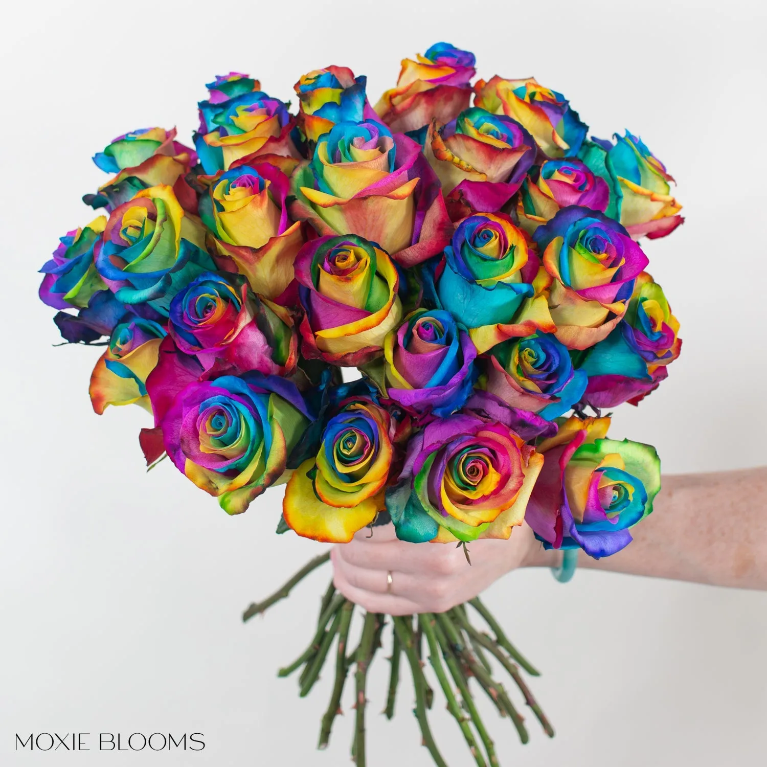 Rainbow Novelty Roses