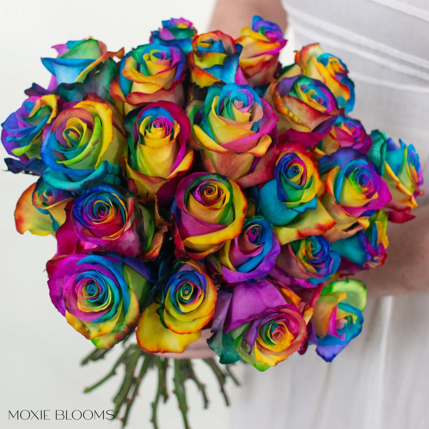 Rainbow Novelty Roses
