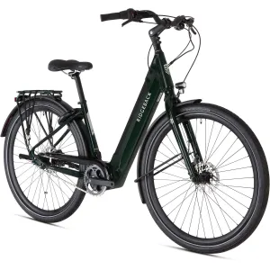 RidgeBack Electron INT