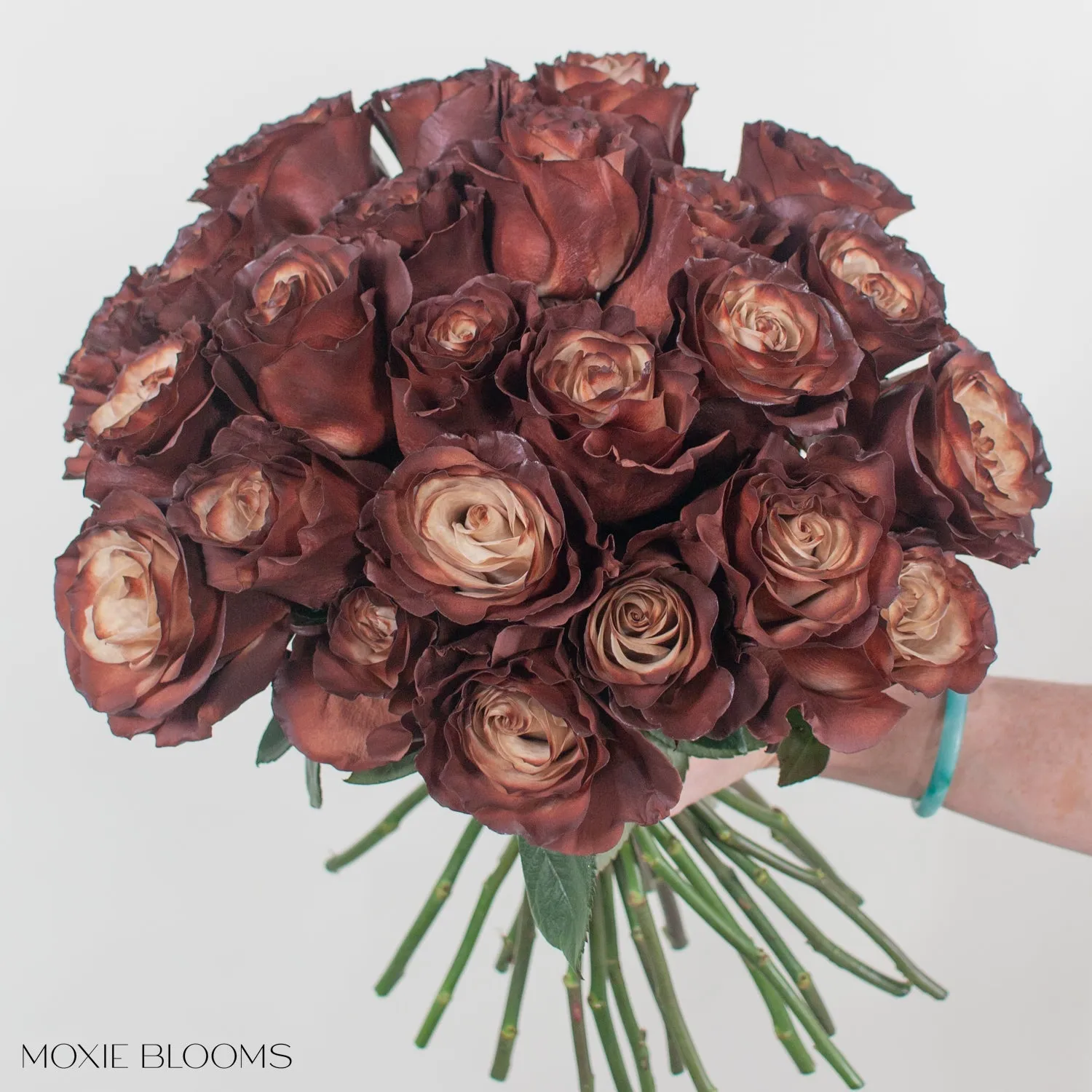 Truffle Novelty Roses