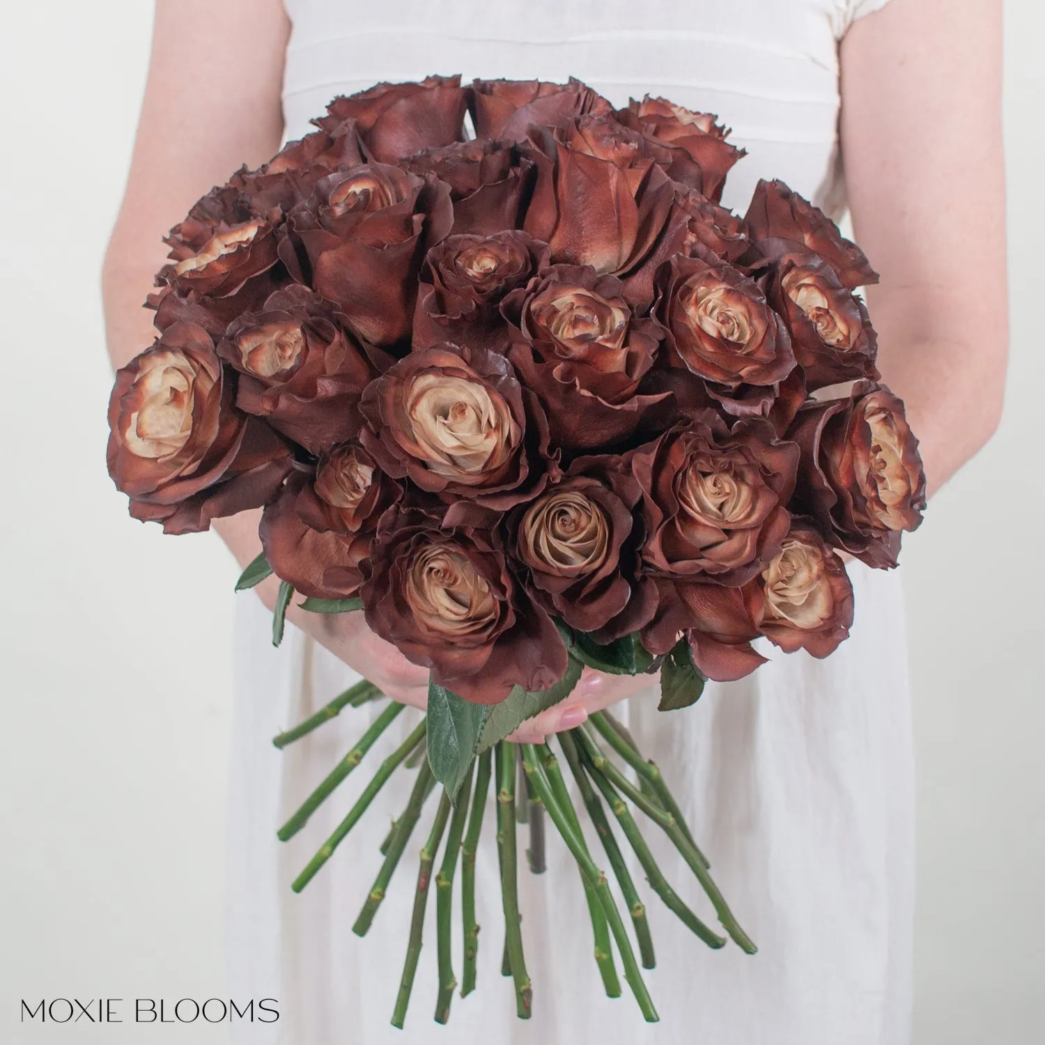 Truffle Novelty Roses