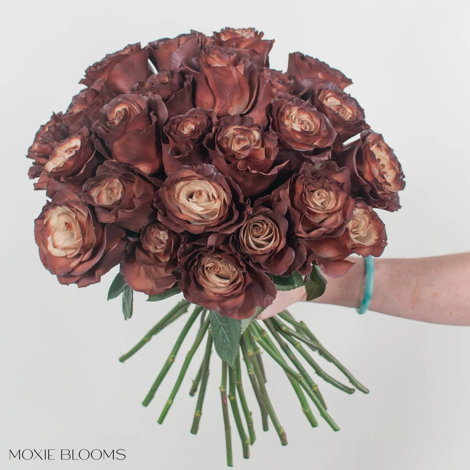 Truffle Novelty Roses